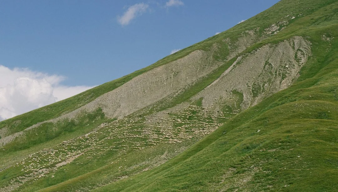 Plafonnage à Châtelet